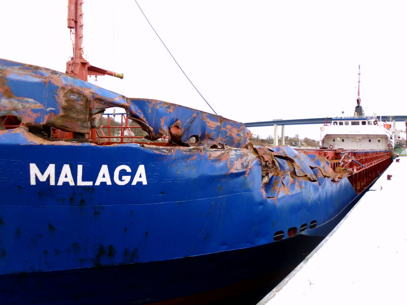 BARACUDA