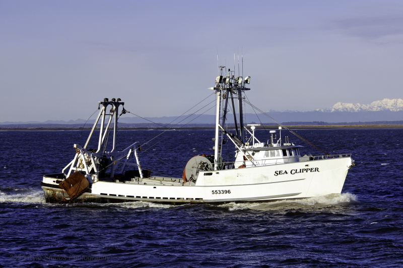 SEA CLIPPER