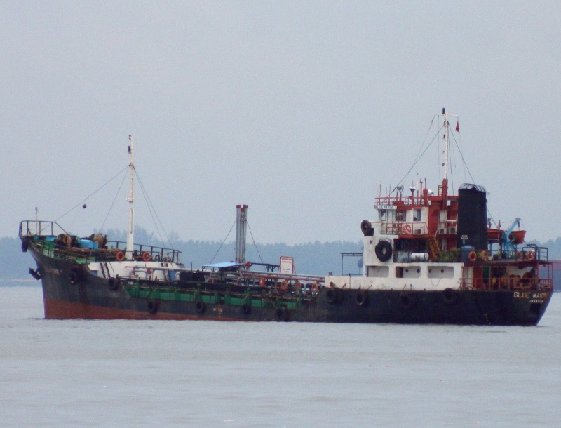 MT.BLUE MARINE 7