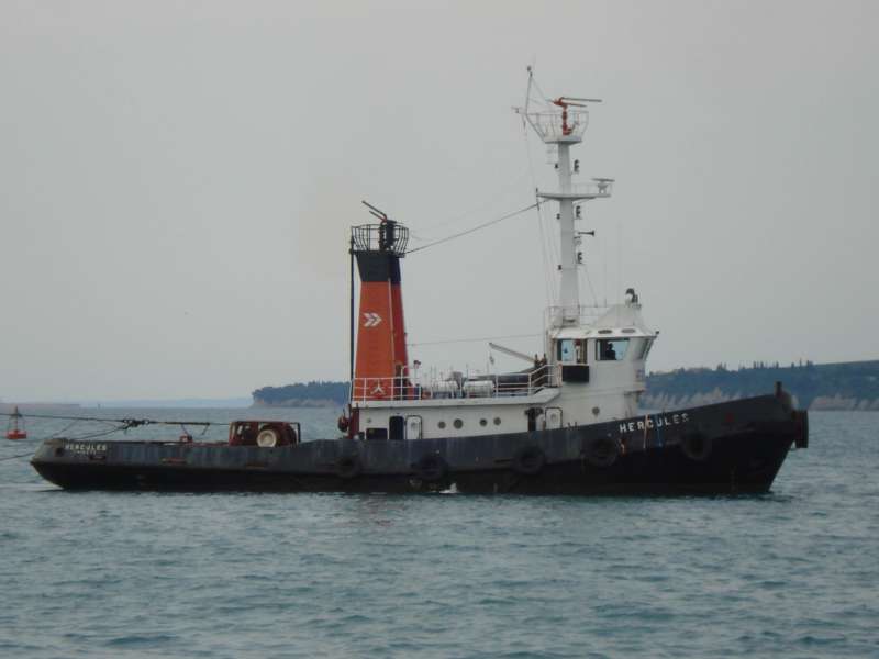 BAS VIKING