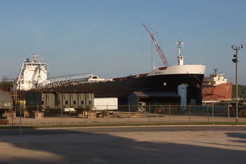 Image of ALGOMA BUFFALO