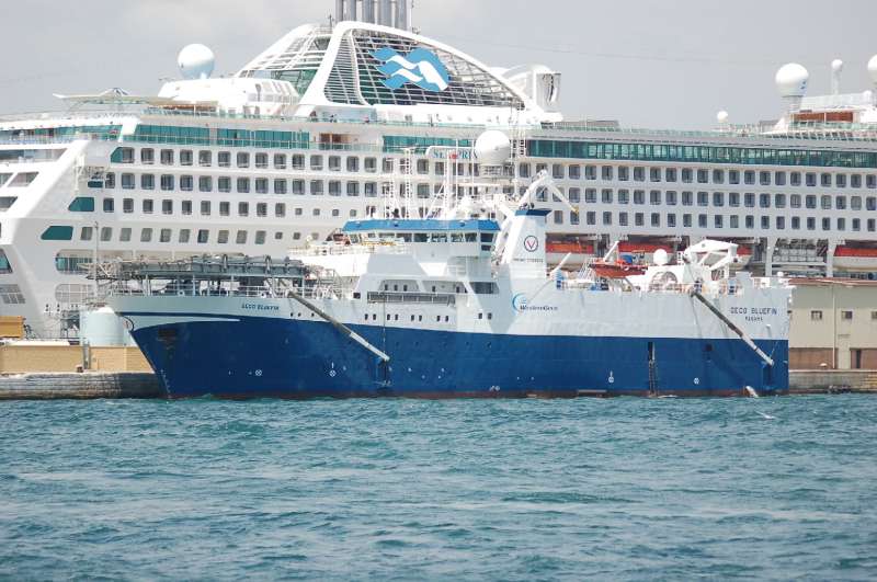 GECO BLUEFIN