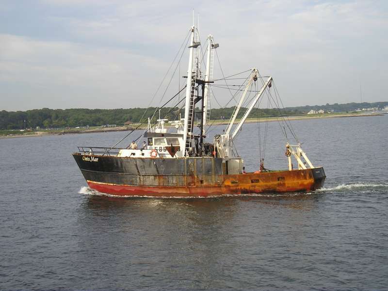 Commercial Fishing Boats - Hawthorne Cat