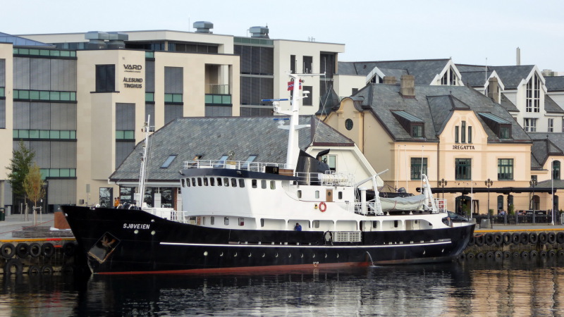SJOVEIEN
