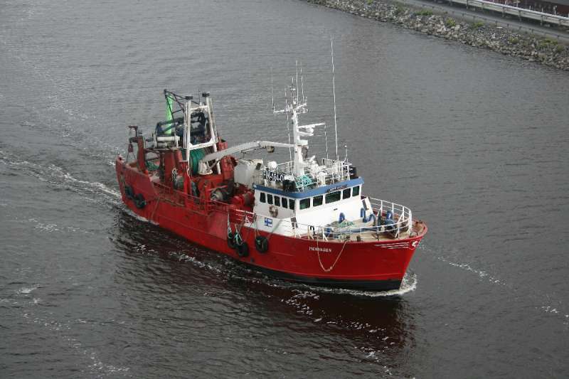 MENHADEN