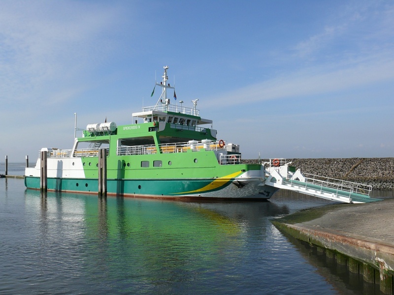 SPIEKEROOG 4