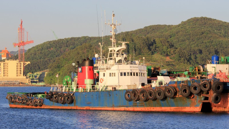 MYUNG JIN 801