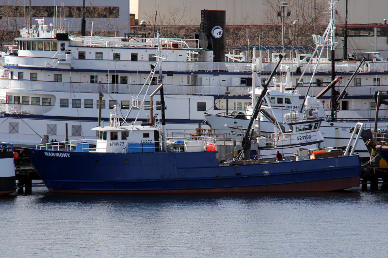 HARMONY I