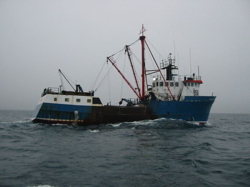 OCEAN LADY