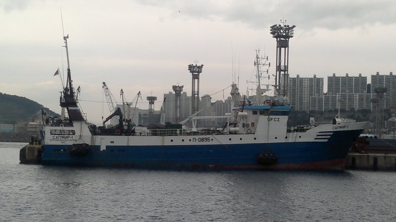 SAPFIR-1