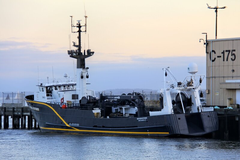 NORTHERN DEFENDER