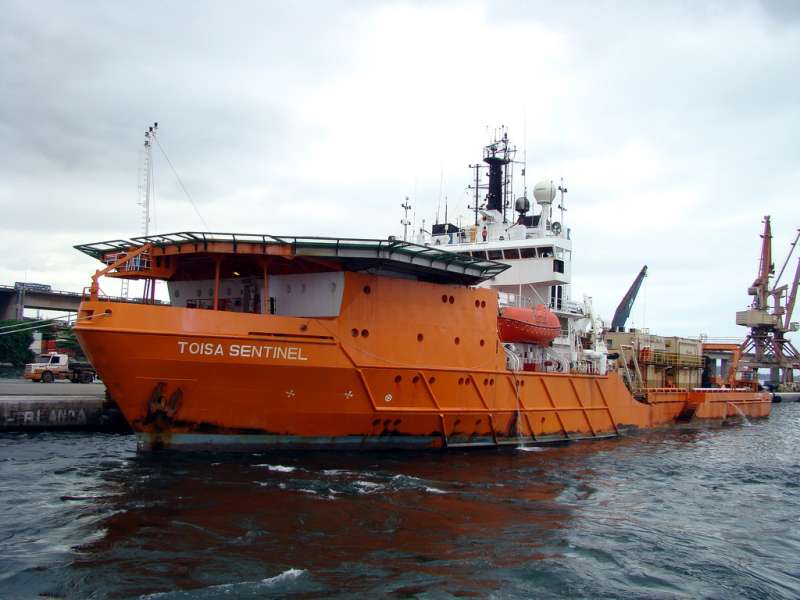 DSV WHALE