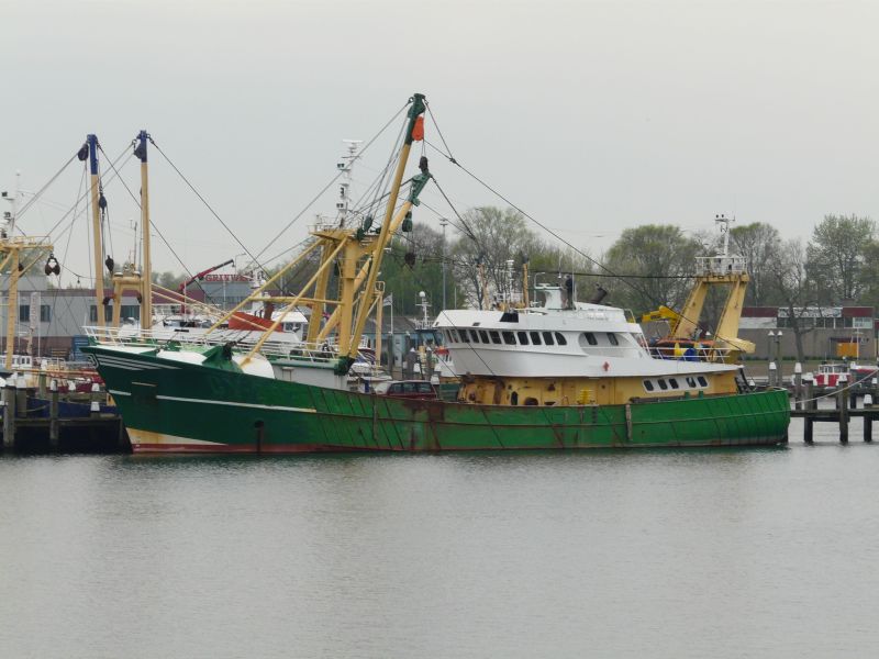 ARIEL