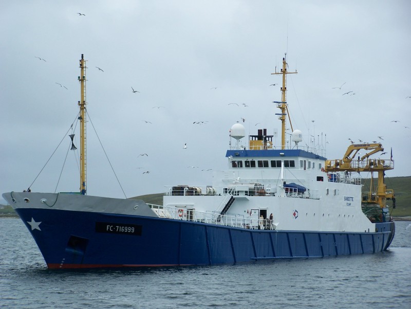 DZINTARSAULE