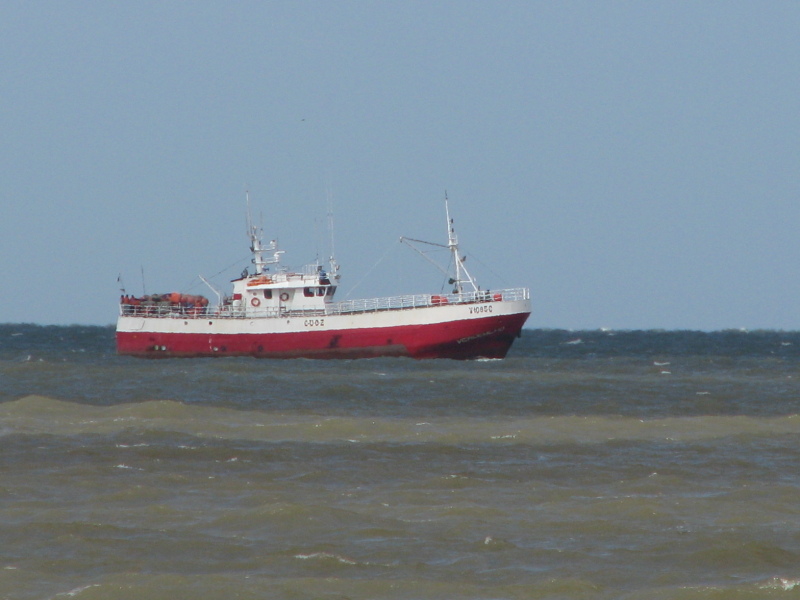 VERDEMILHO