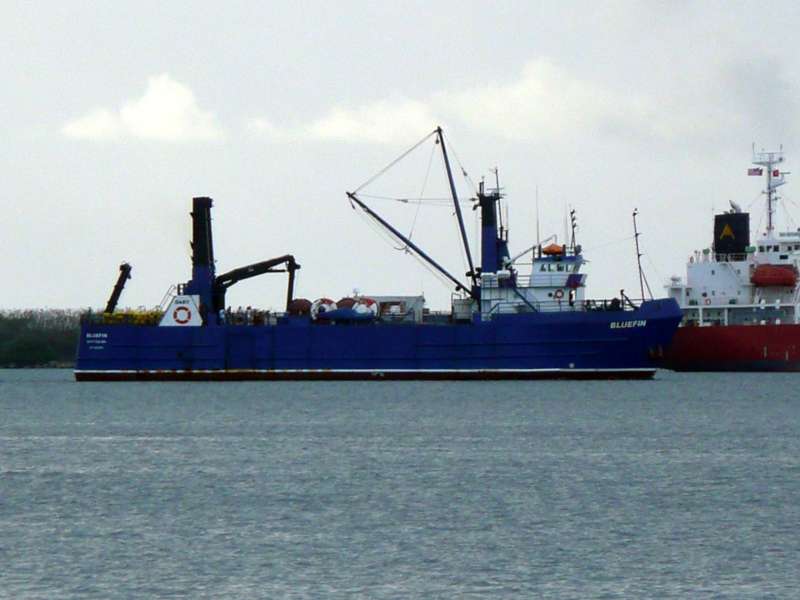 BLUEFIN