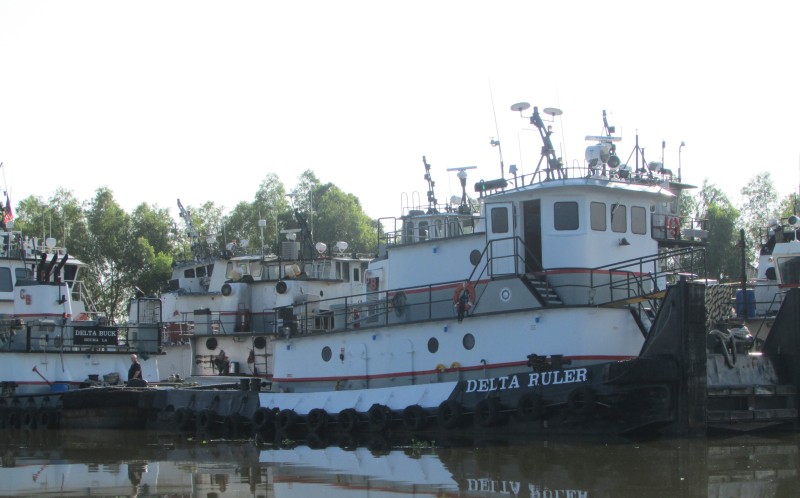 DELTA RULER