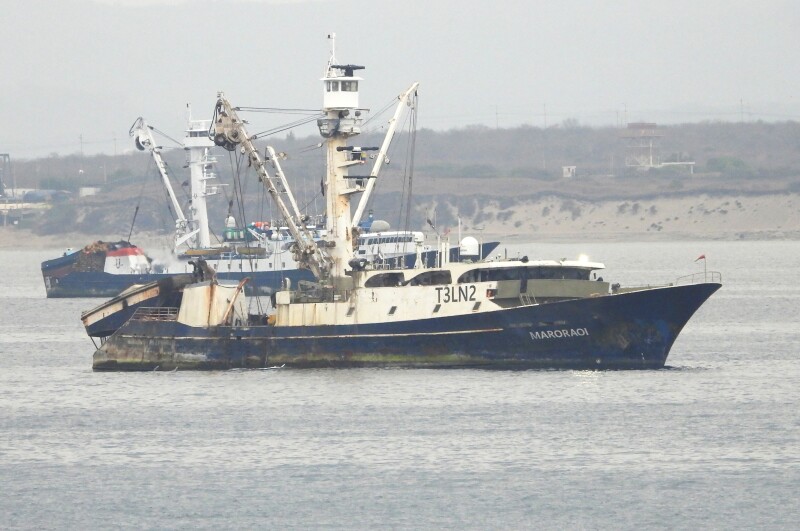 SEA CHASE