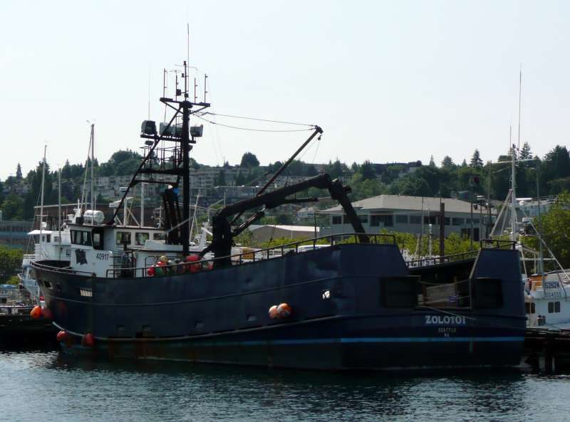 ZOLOTOI