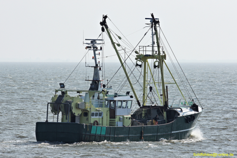 VERTROUWEN GRE33