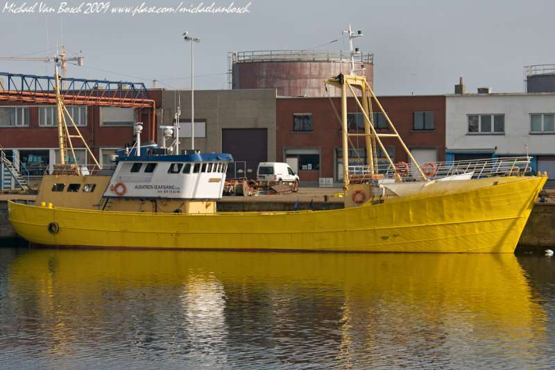 ALBATROS