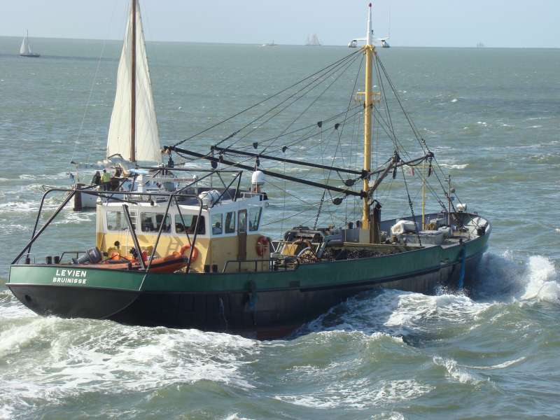 YE197 GUSTAAF EDUARD