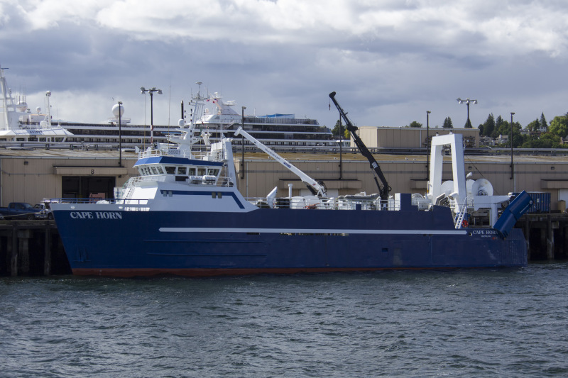 CAPE HORN