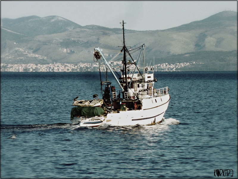 NEPTUN PRVI