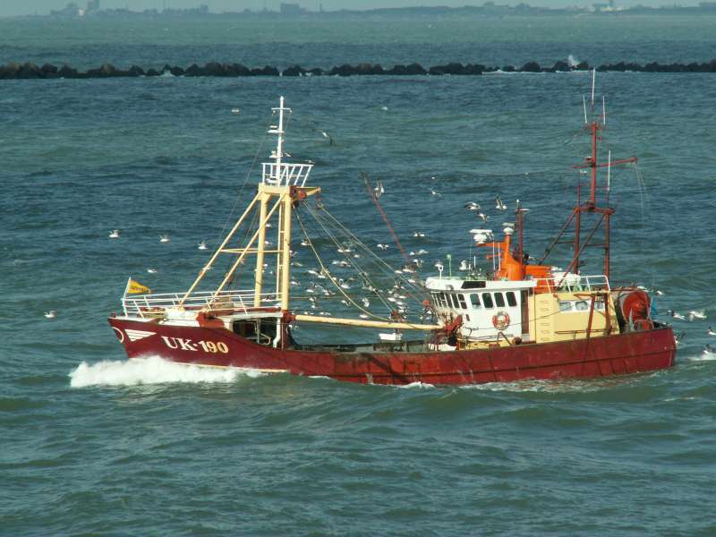 UK80  LINQUENDA