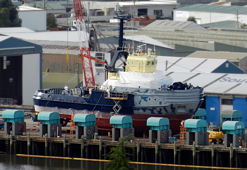 SVITZER HASTINGS