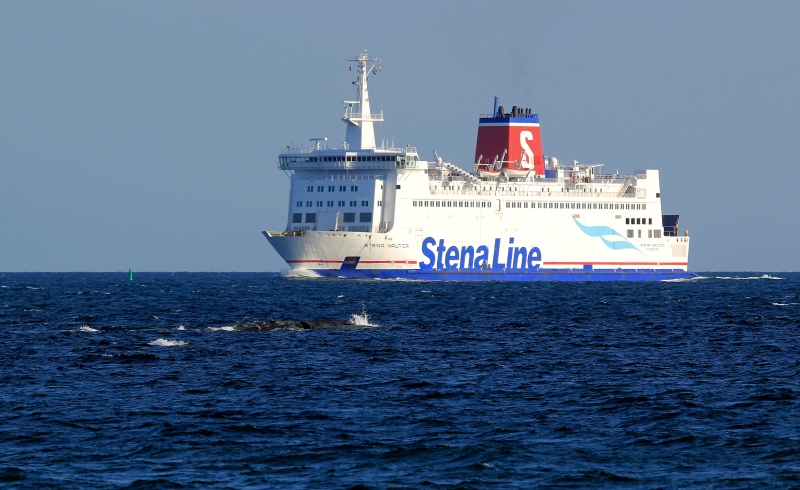 Image of STENA NAUTICA