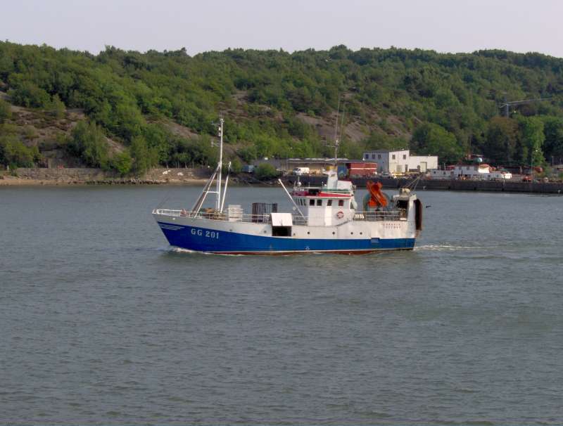 BRAVIK