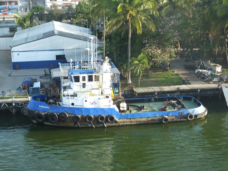 TAMIAHUA