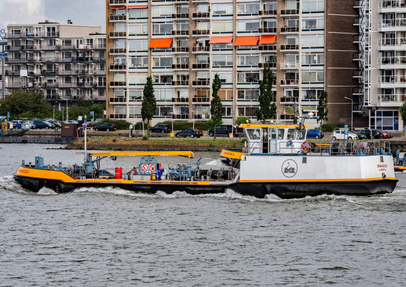 ZWAANTJE9