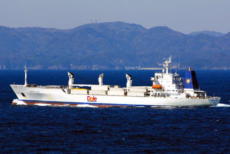 レビュー高評価の商品！ TROPICAL SKY Reefer - ブレスレット・バングル