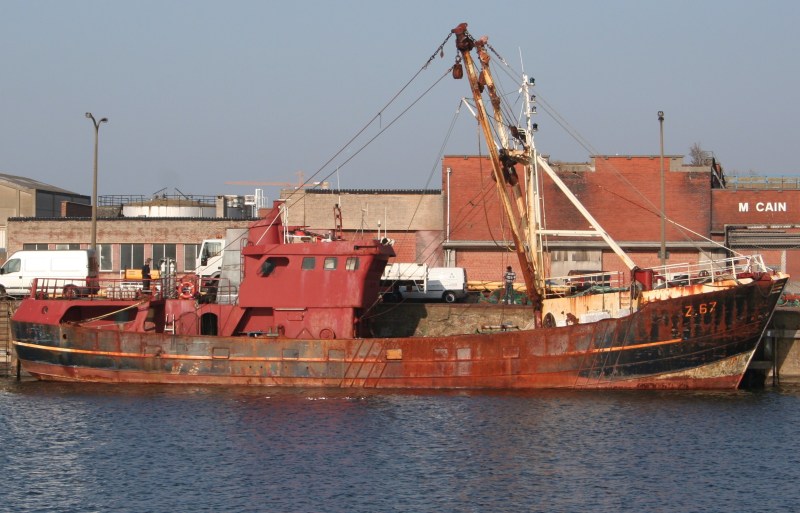 MFV Z67 RUBENS
