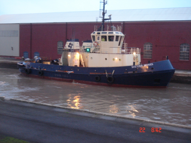 TUG BEAVER