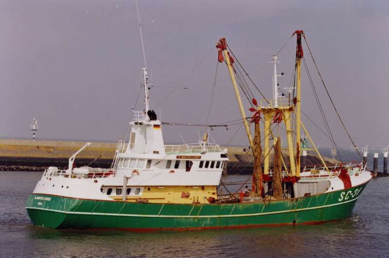 SC31 DR MAARTEN LUTH