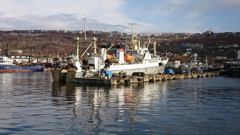 MYS BASARGINA