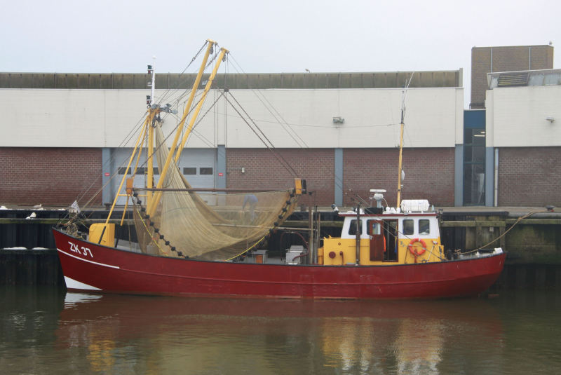 ZK37 ALDERT V THIJS