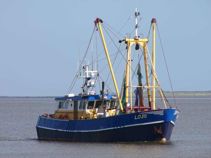 WL22 GERDA