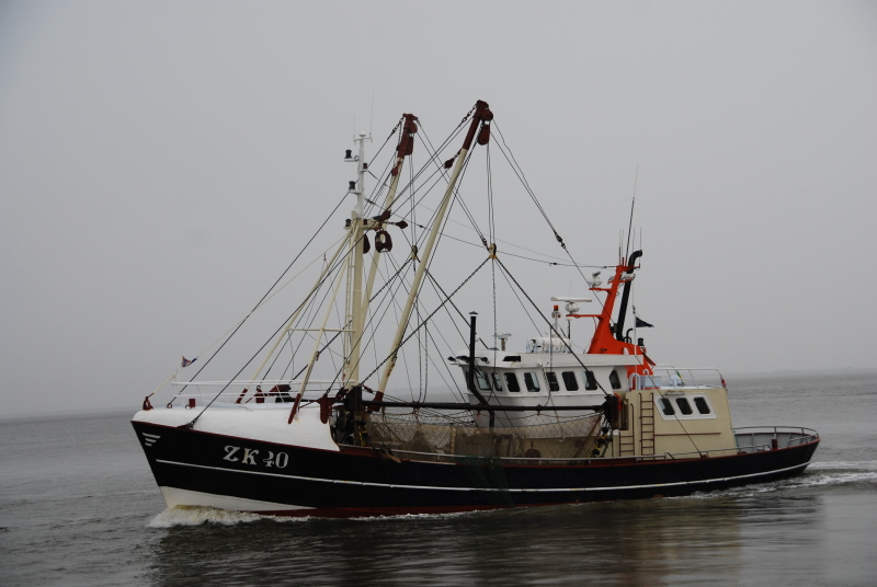 UK166 LIMANDA