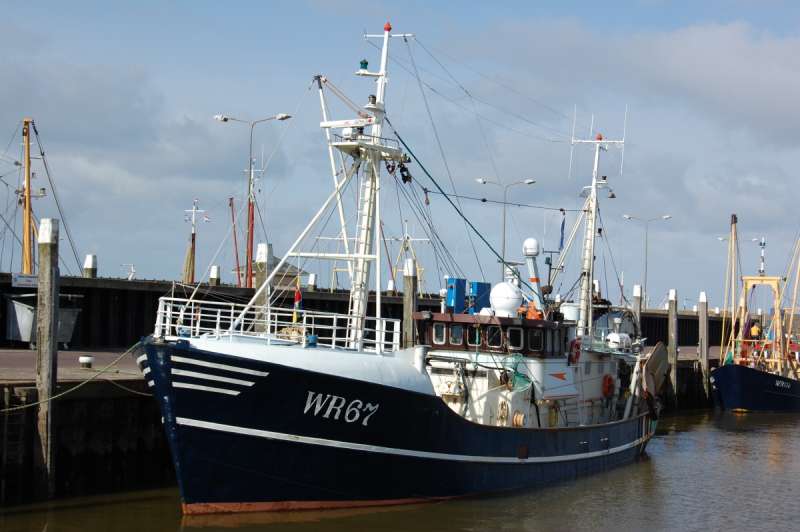 WR67 MAARTJE