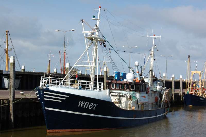 Image of WR67 MAARTJE