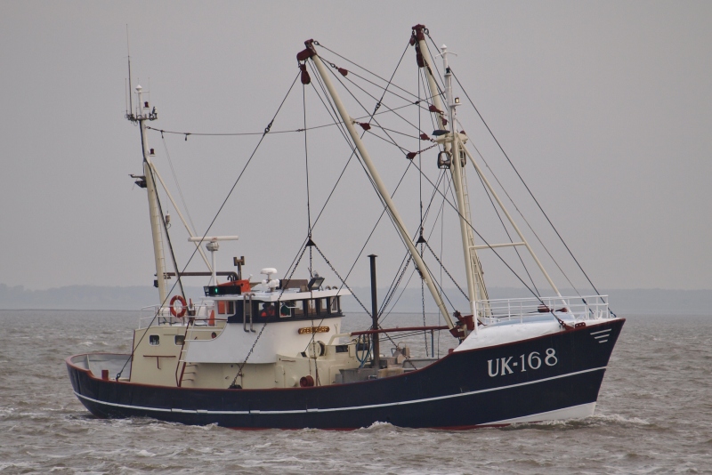 UK168 KEES KORF