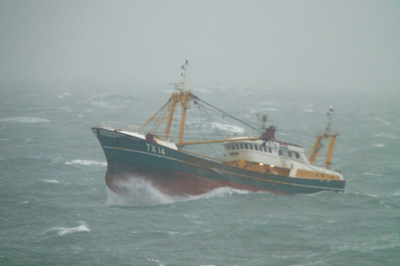 TX14 GRIETJE