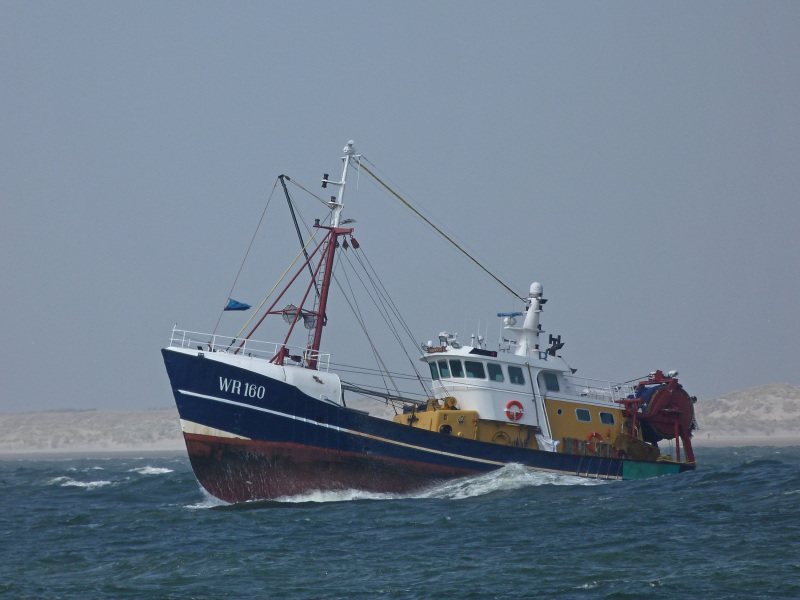 UK171 SPES SALUTIS