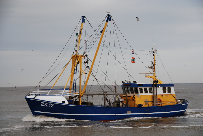 ZK12 PIETER DION