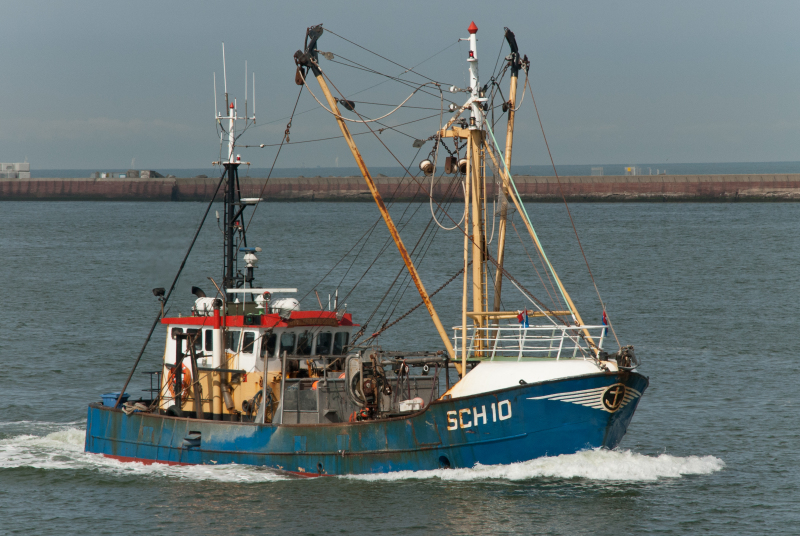 SCH10 DRIEGEBROEDERS