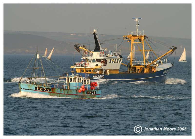 Image of STELLA MARIS